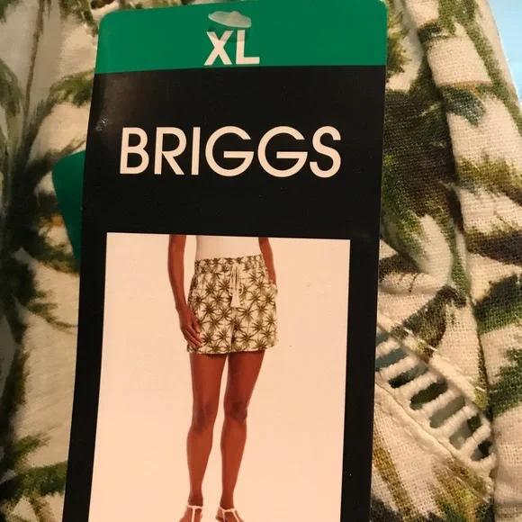 Briggs Shorts - Picture 3 of 4